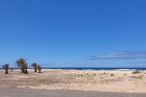 Ola Cotillo! Ver y Sentir el Mar desde casa