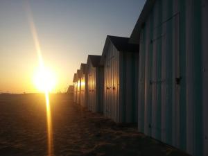 Superbe appartement moderne 2 chambres vue mer, 2 salles deau, parking, animaux admis - FR-1-323-276