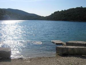 Cosy Apartment in Žrnovo - 30 sqm with Shared Pool