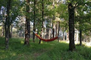 Maisons de vacances Le calme, les animaux et les etoiles a Montignac : photos des chambres