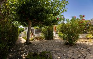 Chalet Migjorn Riumar Pura Natura
