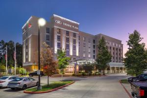 obrázek - Crowne Plaza Shenandoah - The Woodlands