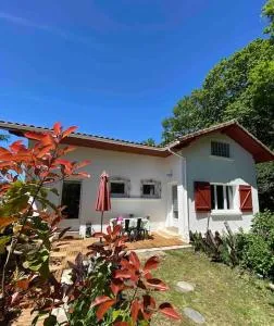 Maison - Terrasse - Jardin - Foret landaise - Préchacq