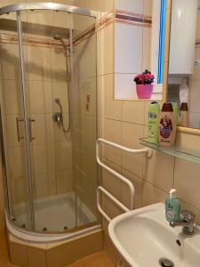Rodinný apartmán 3+1 (65 m² ) v plném vybavení se nachází v krásné vesničce Horní Město na úpatí hor v oblasti Jeseníků