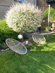 Ferienwohnung Ambiente II und III