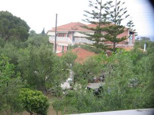 Dimaras Apartments Zakynthos Greece