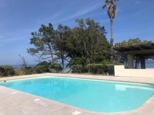 Appartements NEW - grand studio avec piscine et plage a 50 m : photos des chambres