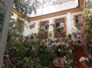 PATIO POZANCO