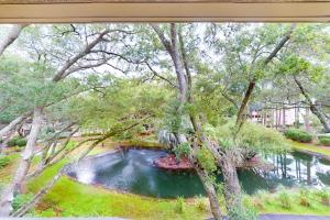 Spa on Port Royal Sound 1321