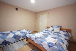 Zmaj Ognjeni Etno Concept