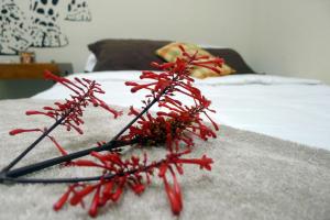 Matagalpa Tours Guest House