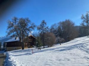 Chalet rénové 3 étoiles, 14 pers, vue Mont Blanc, Wifi - FR-1-560-102