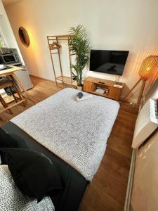 Appartements Studio Douillet Hypercentre 12 min de Paris : photos des chambres