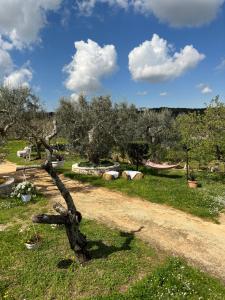 Trulli Barsento
