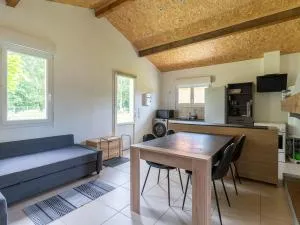 Maison de 40m² à Biscarrosse - Proche lac, pistes cyclables, plage - Accueille 4 pers. - Animaux OK - FR-1-319-484 - 桑吉内