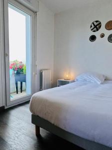 Appartements Appartement Cosy Joue-Les-Tours : photos des chambres