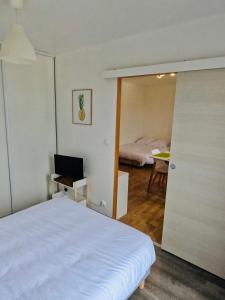 Appartements Appartement Cosy Joue-Les-Tours : photos des chambres