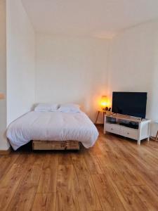 Appartements Appartement Cosy Joue-Les-Tours : photos des chambres