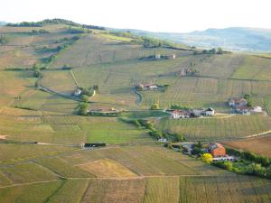 Hotels Hotel des Vignes : photos des chambres