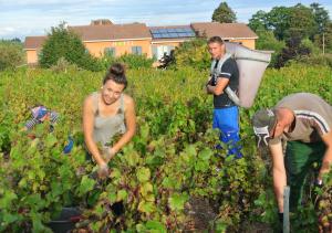 Hotels Hotel des Vignes : photos des chambres