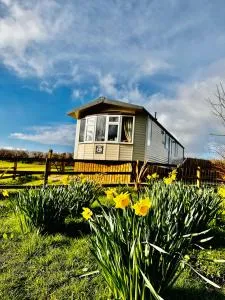 Highgate Mountain - Warren