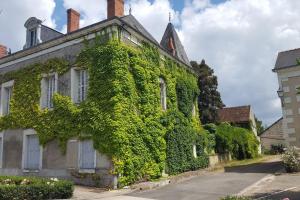 Maisons de vacances La Voliere : photos des chambres