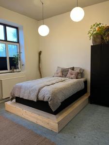 Room 8 - Hawkraft kulturhotel - Ubytování bez kategorie ve městě Vestervig