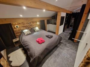 Appartements Cocon tout confort spa privatif : photos des chambres