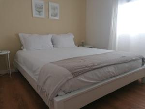 Apartamento Graciosa - Sta Catarina Place