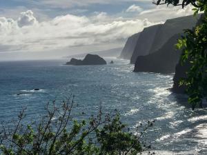 Oceanfront Condo & Walking Distance to Beach and Town- Hale Kona Kai 207 by Casago Kona