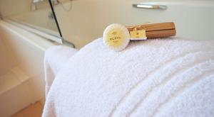 The White Lion Hotel