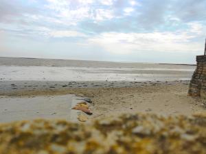 Maisons de vacances Maison 6 pers, 600m plage, jardin, barbecue, parking - FR-1-639-92 : photos des chambres