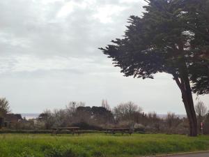 Maisons de vacances Maison 6 pers, 600m plage, jardin, barbecue, parking - FR-1-639-92 : photos des chambres