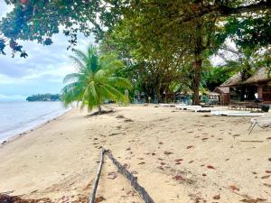 Nice house on the beach (C3)