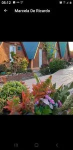 El Cristal - Punta Ninfas