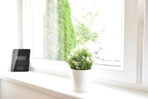 Huge Apartment in Awesome Location with parking