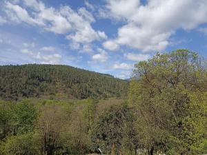 Appartements instant de tranquillite en Cevennes : photos des chambres