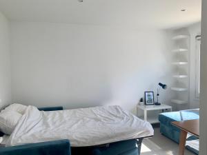 Appartements Studio Bleu Lyon 5 : photos des chambres