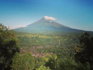 Amed Stop Inn Homestay, Rooftop Restaurant and Bar