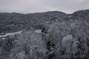 Chalets Chalet Ferme des Amis : photos des chambres