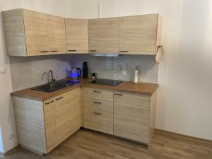 Apartamenty Aleksandra