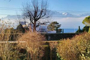 Lake side(5min)fire placegardenfreeparking45m2