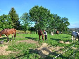 Hotel La Puerta de Arzúa