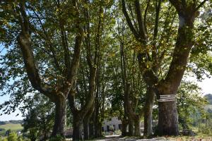 B&B / Chambres d'hotes Domaine de calbiac : Chambre Double Familiale