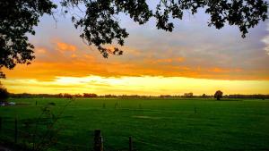 De Boomklever