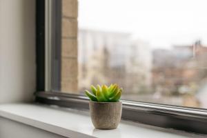 CozySuites Music Row Spacious 2BR with free parking 55