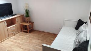 Superior Apartment room in Hotel Modrava