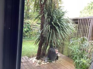 Villas Villa contemporaine : photos des chambres