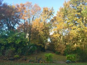 Villas Villa contemporaine : photos des chambres