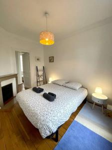 Appartements Suites Rive Gauche - Fontainebleau - Chez Sebastien : photos des chambres